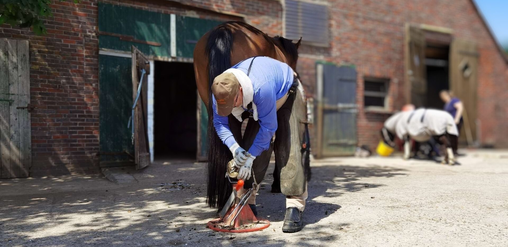 Brückner Barhufbearbeitung – Startseite Andreas Brückner, Hufpfleger, bearbeitet ein Pferd mit einem Hufmesser.
