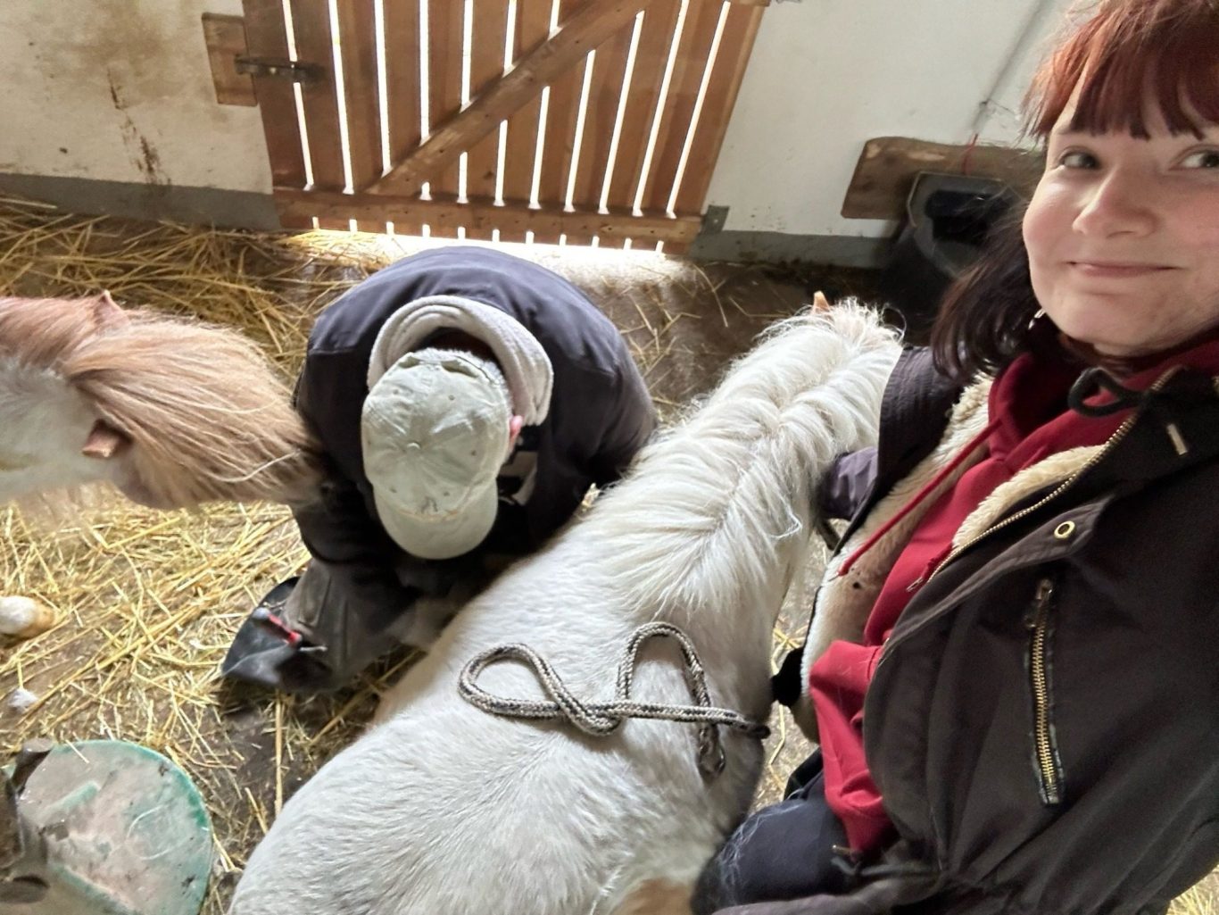Erfahrung, Ruhe und fachliche Sorgfalt Eine Person mit rotem Haar macht ein Selfie in einem Stall mit Minishettys.