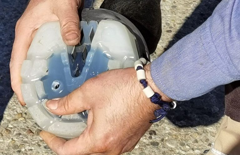 Hufschuhberatung Eine Hand hält einen Hufschuh an einen Huf.